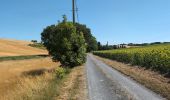 Percorso Marcia Rilly-sur-Vienne - Rilly-sur-Vienne - le Chêne Vert Fon Bon la Roche Chandres - 20.2km 275m 5h45 (1h) - 2025 07 12 - Photo 4