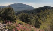 Tocht Stappen Marseille - Marseilleveyre-sommet-1105-22 - Photo 1