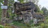 Tocht Stappen Fontainebleau - Fontainebleau Sentier Denecourt 17 - Photo 9