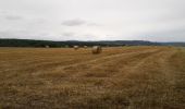 Tocht Fietstoerisme Chagny - 71 Bourgogne J1/8 - Photo 2