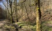 Trail Walking Bouillon - Bouillon 1 - Photo 14