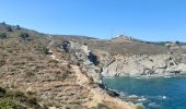 Trail Walking Port-Vendres - paulille . cap bear . paulille - Photo 8