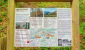 Trail On foot Balsthal - St. Wolfgang - Langenbruck - Photo 3