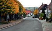 Tocht Te voet Südharz - Rundweg Hainrode - Photo 3