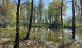 Trail Walking Anderlues - BE-Anderlues - Le Bois du Baron - Tour des Etangs - Photo 7