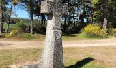 Tocht Stappen Peyre en Aubrac - Aumont à Finieyrols - Photo 1