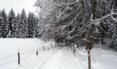 Randonnée Raquettes à neige Arith - Lachat-Cochette-2021-01-06 - Photo 3