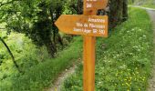 Randonnée Marche La Croix-sur-Roudoule - La Croix sur Roudoule - Photo 19