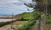 Excursión Senderismo Erquy - VARIANTE SUR LE CIRCUIT DE L'  ILOT ST MICHEL ET DES MOULINS - Photo 8