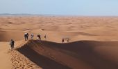 Tour Wandern M'Hamid El Ghizlane ⵎⵃⴰⵎⵉⴷ ⵍⵖⵯⵣⵍⴰⵏ امحاميد الغزلان - Campement 3 au Campement 4 - Photo 15