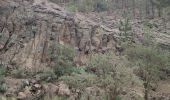 Excursión Senderismo Vilaflor - Lunar Landscape Hike in Villaflor (Tenerife) - Photo 2