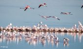 Tour Moto-Cross Nerja - Flamands roses - Photo 1