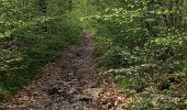 Tour Elektrofahrrad Saint-Clément - sortie vtt 30042023 vitrimont  - Photo 4