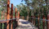 Tour Wandern Hechtel-Eksel - Promenade vers la piste dans les arbres  - Photo 18