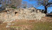 Tour Wandern La Roquebrussanne - Jas d'Agnis au départ de la Roquebrussanne par le vallon de Valescure - Photo 12