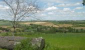 Excursión Senderismo Frontignan-Savès - Coteaux du Comminges - Photo 3