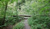 Trail On foot Scharbeutz - Ostsee-Therme Lang - Photo 9