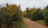 Trail Walking Saint-Raphaël - SAINT RAPHAEL - LES 3 COLLETS - Photo 20