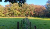 Tocht Stappen Sprimont - dans la campagne de Florzé Sprimont  - Photo 10