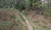 Trail Walking Boissy-le-Cutté - Boucle des Ravelins, circuit balisé bleu au départ de Boissy-le-Cutté - Photo 15