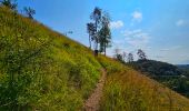 Tour Wandern Ferrières - Balade à Vieuxville - Photo 6