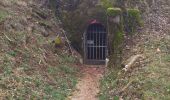 Randonnée Marche Beure - Beure de la pisseur au mercureau  - Photo 3