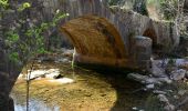 Randonnée Marche Tourves - Tourves- Le Saut du Cabri - Les gorges du Caramy - Photo 4