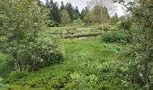 Trail Walking La Bresse - la montagne aux Lamas - Photo 9