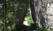 Tour Wandern Saint-Martin-en-Vercors - La Sambue et le belvedere de Chateau Julien - Photo 1