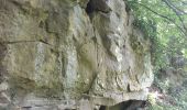 Trail Walking Magny-les-Hameaux - bois des roches - Photo 3