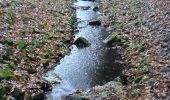 Tour Zu Fuß Enscheid - Wandelnetwerk Twente - paarse route - Photo 1