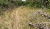 Trail Walking Aubaine - Crepey - Photo 12