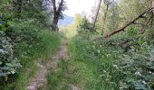 Trail Walking Vielsalm - cahay - bèchefa , retour  - Photo 2