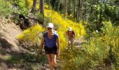 Randonnée Marche Castellane - Les cadières de Brandis - Photo 6