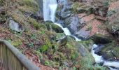 Tocht Stappen Triberg im Schwarzwald - Cascade de Triberg 30.10.22 - Photo 5