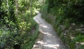 Randonnée A pied Gênes - San Gottardo - Forte Diamante (AQ1) - Photo 9