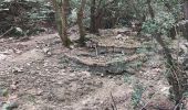 Trail Walking Plan-d'Aups-Sainte-Baume - Boucle St Baume Huveaune  - Photo 3