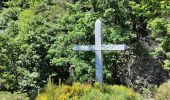 Tocht Stappen Labastide-sur-Bésorgues - la Bastide sur bezorgie - Photo 4