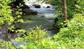 Trail Walking Morzine - Le sentier du Renard en passant par la cascade de Nyon - Photo 1