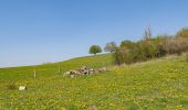 Tour Zu Fuß Warburg - A9 Rundwanderweg Hardehausen - Photo 10