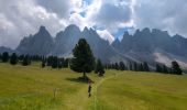 Randonnée Marche Villnöß - Funes - Puez Geisler - Gschnagenhardt et Glatschalm - Photo 13