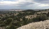 Excursión Carrera Cheval-Blanc - Luberon-19122019 - Photo 5