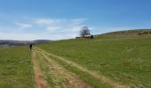 Tocht Stappen Prinsuéjols-Malbouzon - prinsueljols-aubrac etape st Jacques  - Photo 15