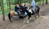 Trail Horseback riding Ban-sur-Meurthe-Clefcy - Reconnaissance chez Delphine fraize  - Photo 3