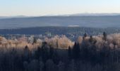 Tour Wandern Éternoz - Eternoz, Montmahoux - Photo 11