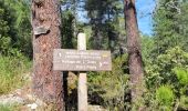 Tour Wandern Vivario - cascade  de manganello et de meli - Photo 10