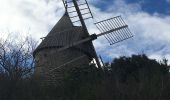 Trail Walking Faugères - La Caumette-  Pic du Tantajo - Photo 4