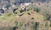 Trail Walking Vieux-Thann - Rando Marcheurs..27/03/2025.. - Photo 8