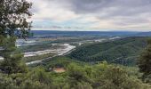 Tour Wandern Château-Arnoux-Saint-Auban - forcalquier - Photo 3