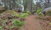 Trail Walking Fontainebleau - T Hippo - Photo 4